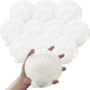 10PCS 4-5 inch Large Sea Shells White Scallop Shells for Crafts Baking Cooking Serving Food, Natural Seashells for DIY Crafts Seashell Beach Decorations for Ocean Themed Parties and Home Decor