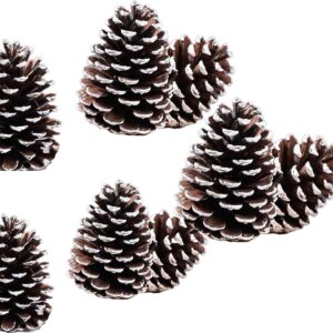 20PCS 1″ to 2.95″ Christmas Natural Pine Cones Bulk Rustic Snow Pinecones with String Pine Cone Pendant Winter Ornament for Xmas Tree Gift Tag Party Decoration