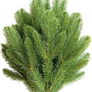 30pcs Artificial Pine Picks Branches Green Plants Pine Accessories for Garland Needles Wreath Christmas and Home Garden Decor DIY