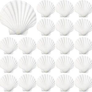 40 Pack Sea Shells, White Scallop Shells for Craft, 2-3 Inches Real Seashells for Themed Party Decorations