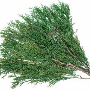 4OZ Preserved Real Pine Leaves Branches -17” Natural Greenery Plants Pine Twigs Stems Pine Needles Evergreen Picks for Garland Wreath Xmas Wedding Home Party Decor Indoor Outdoor Decoration