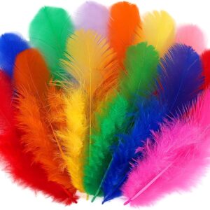 500pcs-Colorful Rooster Feathers 3-5inch Bulk Feathers for Crafts DIY Dream Catcher Supplies（500pcs）