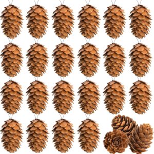 60 Pcs Christmas Natural Mini Hanging Pine Cones with String- 1.2 Inch Fall Thanksgiving Christmas Tree Hanging Pinecone Ornaments for DIY Crafts, Home, Party, Wedding Decor