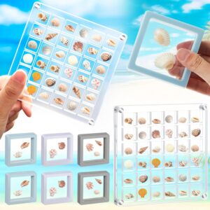 7 Pack Seashell Display Box Includes 6 Small Seashell Holder 2.7 x 2.7 Inch Seashell Display Case and 36 Grids Large Magnetic Clear Acrylic Box for Storage Display Shelf Room Coastal Decor