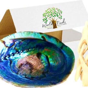 BEAUTIFUL Large Abalone Shell Smudge Bowl Set, Size Choices w/Natural Wood Stand for Smudging, Sage Burning, Incense, Altar Supplies (6-7 Inches w/Natural Stand)