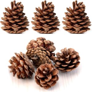 Bulk Package of Natural Pinecones-24 Pack