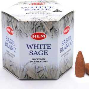 HEM White Sage Backflow Brown Incense Cones | Long Lasting Aroma for Positivity & Pure Air | Wood Powder | Aromatherapy for Stress Relief, Air Purifier & Cleansing | Gift Set – Pack of 40 Cones