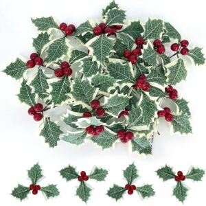 Holly Berries with Green Leaves, 24PCS Artifical Red Holly Berry Flowers for Christmas Tree/Wreath Arrangement Decorations, Red Berry Christmas Picks for Crafts Gifts Wedding Party Decor