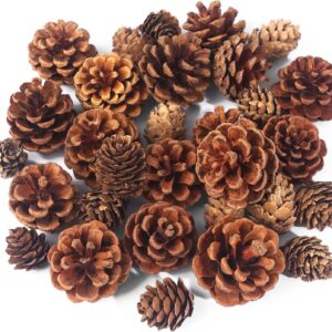 JOHOUSE 30PCS Christmas Pine Cones, Natural Pinecones for Crafts Assortment Rustic Pine Cones for Decorating Christmas Winter Holidays Table Bowl Fillers