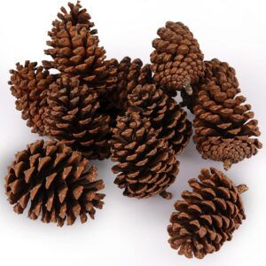 JOHOUSE 3.5-5Inch Natural Pine Cones, Large Pinecone,Christmas Natural Pinecone Ornaments Big Pinecones for Autumn and Winter Decor Christmas Decorations