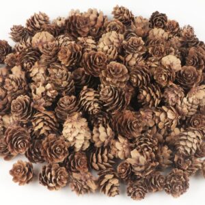 Jangostor 120 PCS Pine Cones Decorations, Natural Pine Cones Bulk – Mini Pine Cones Christmas Pine Cones for Table Christmas Tree Crafts Gifts Thanksgiving Fall and Xmas Home Decor