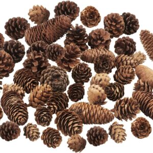 Jangostor 40 PCS Pine Cones Decorations, Natural Pine Cones Bulk Package – Large Medium and Mini Size Rustic Pine cone Ornaments for Table Christmas Tree Crafts Gifts Halloween Thanksgiving Home Decor