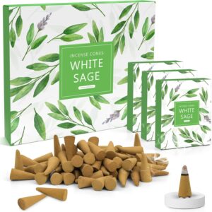 LA BELLEFÉE White Sage Incense Cones 120 Pcs, Incense Cones with Incense Holder Natural Fall Scents, Incense Cones Indoor Odor Remover Incense for Meditation, Relaxation, and Spiritual Cleansing