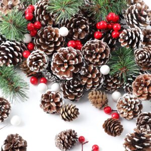 M&C Music Color 115Pcs Christmas Pine Cones Bulk Berry Pine Branch Set, Natural Snow Pinecones Winter Holiday Ornament for DIY Crafts Assorted Sizes Home Decorations Xmas Tree Tag Gift Party Supplies