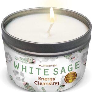 Magnificent 101 Long Lasting White Sage Scented Smudge Candle | 6 Oz – 35 Hour Burn | All Natural & Organic Soy Wax Candle for House Energy Cleansing Purification, Chakra Healing & Manifestation