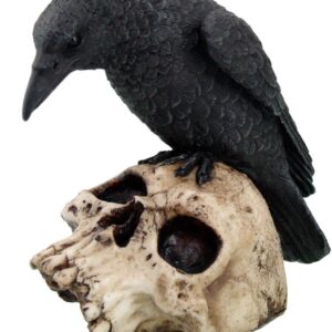 PTC 5 Inch Halloween Black Raven on Skeleton Skull Statue Figurine