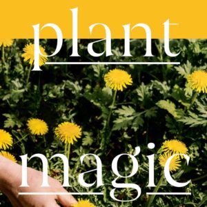 Plant Magic: Herbalism in Real Life