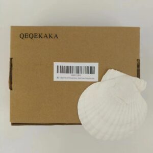 QEQEKAKA 6PCS Large Scallop Shells Crafts 4”-5” Large Shells Decoration, for Baking Shells, Crafts DIY Painting Beaching Wedding Decoration, Beach Natural Scallop Shells Bulk