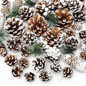 Whaline 170Pcs Christmas Pine Cones Berry Pine Branch Set Snow Pinecones Pendant White Winter Holiday Ornament for DIY Crafts Home Decorations Xmas Tree Gift Tag Party Supplies, Assorted Sizes